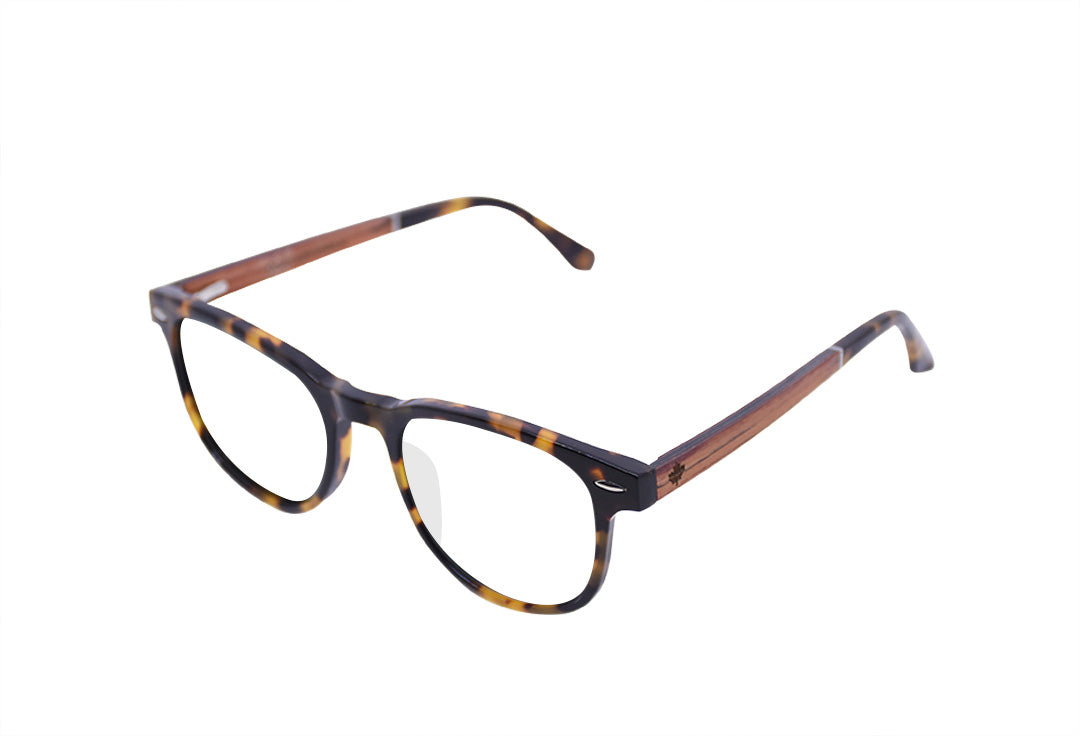 Sound Tortoise Grau