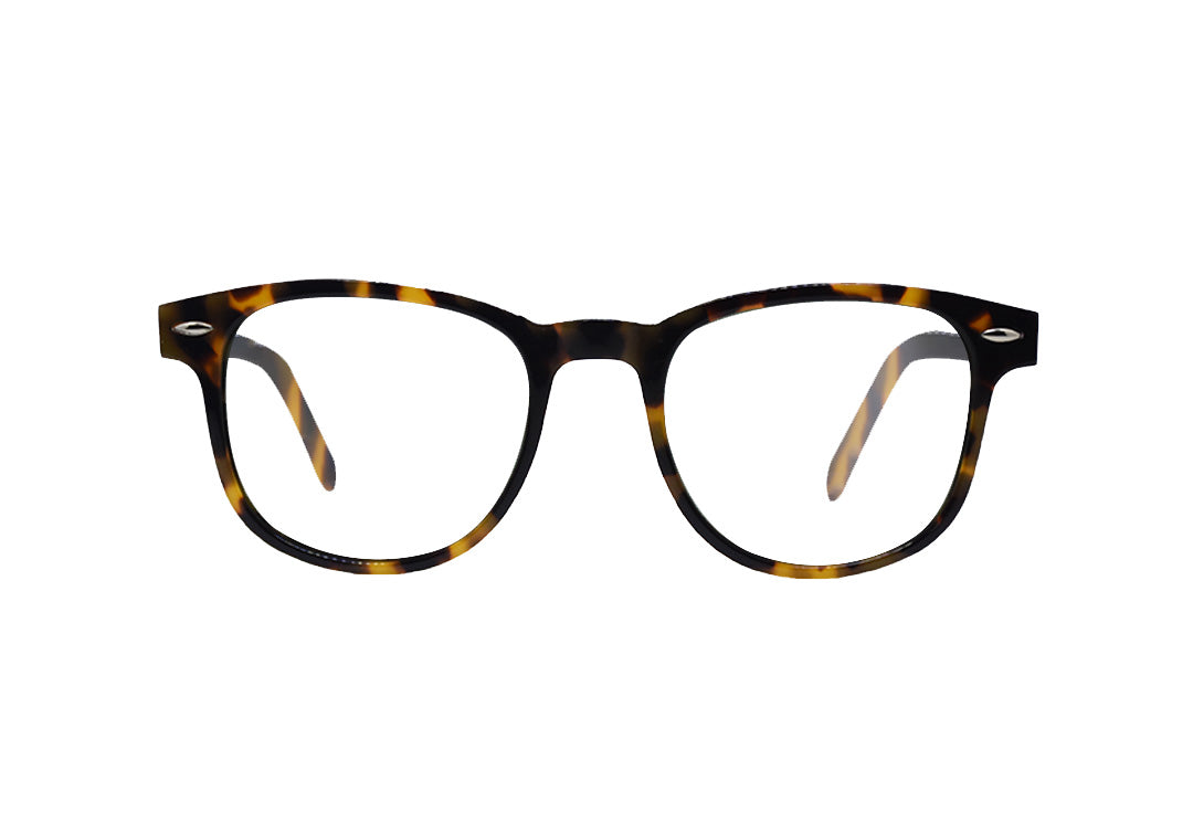 Sound Tortoise Grau