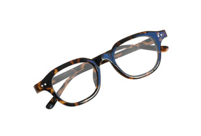 Andrew Tortoise Grau