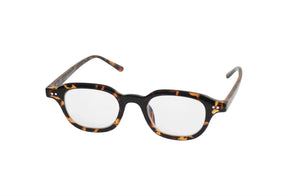 Andrew Tortoise Grau